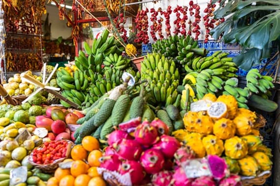 Things To Do in Ubud