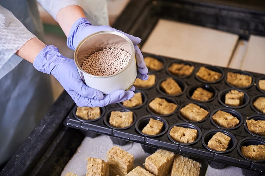 making tempeh