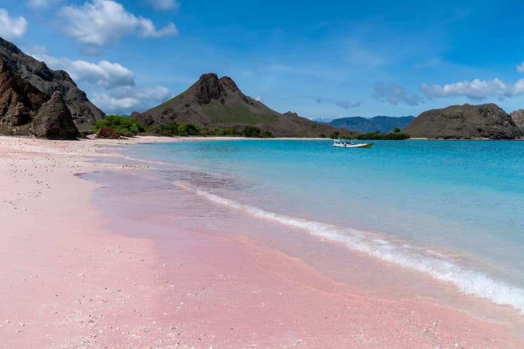 pink beach lombok