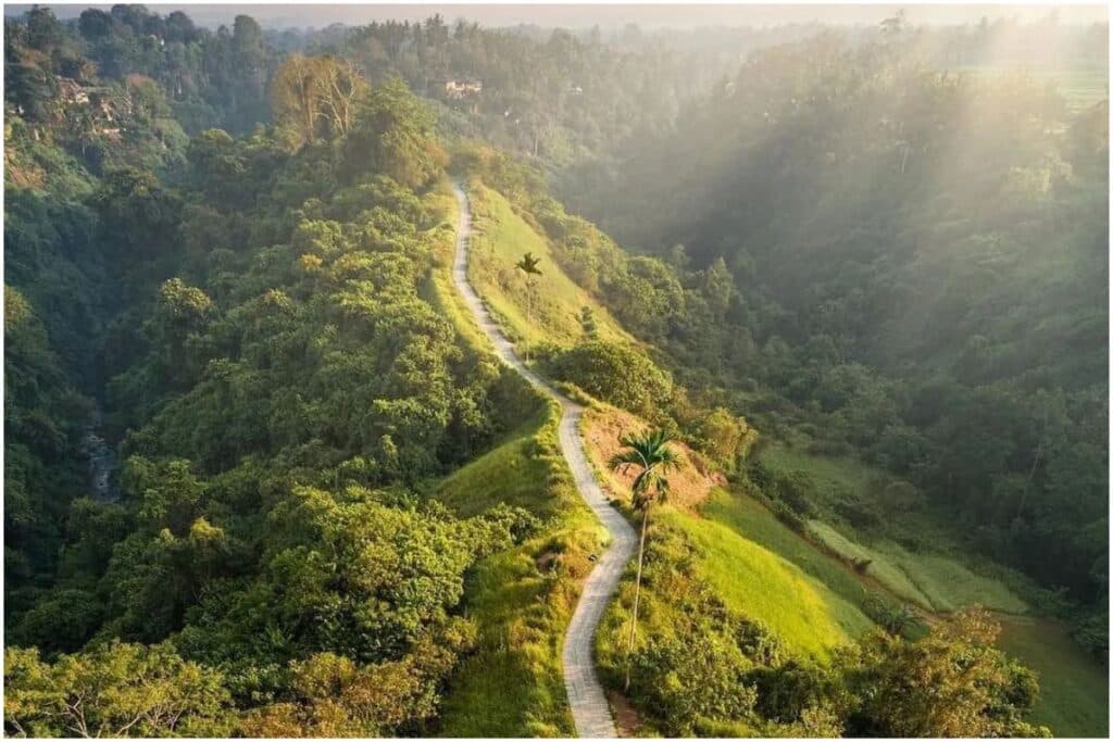 campuhan ridge walk view from above