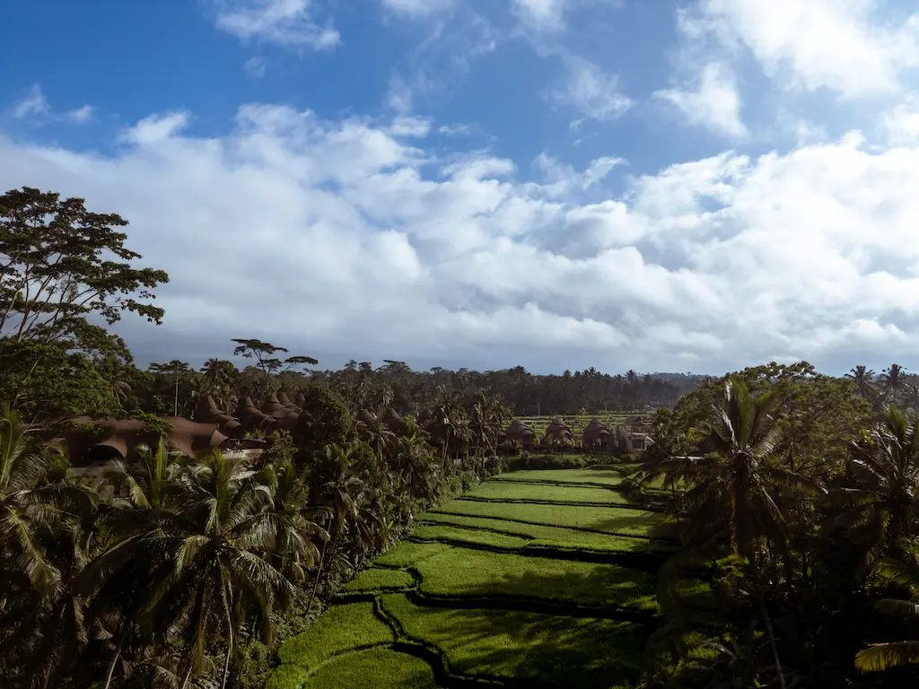 Conservation of Biodiversity, Ecosystem and Landscapes